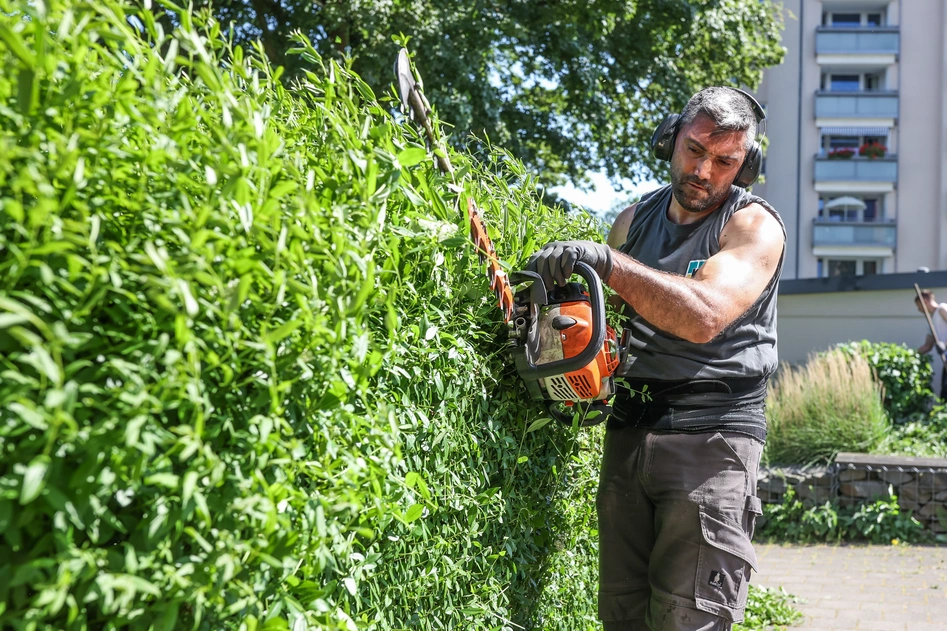 Mann arbeitet mit Sicherungs-Gurt an einem Baum